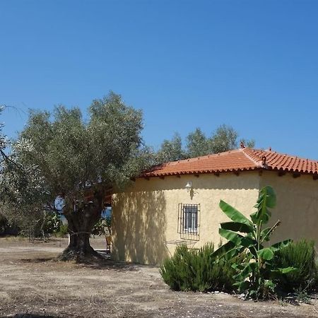 فيلا House By The Sea At Skaloma, Loutraki بحيرة فولياغميني المظهر الخارجي الصورة