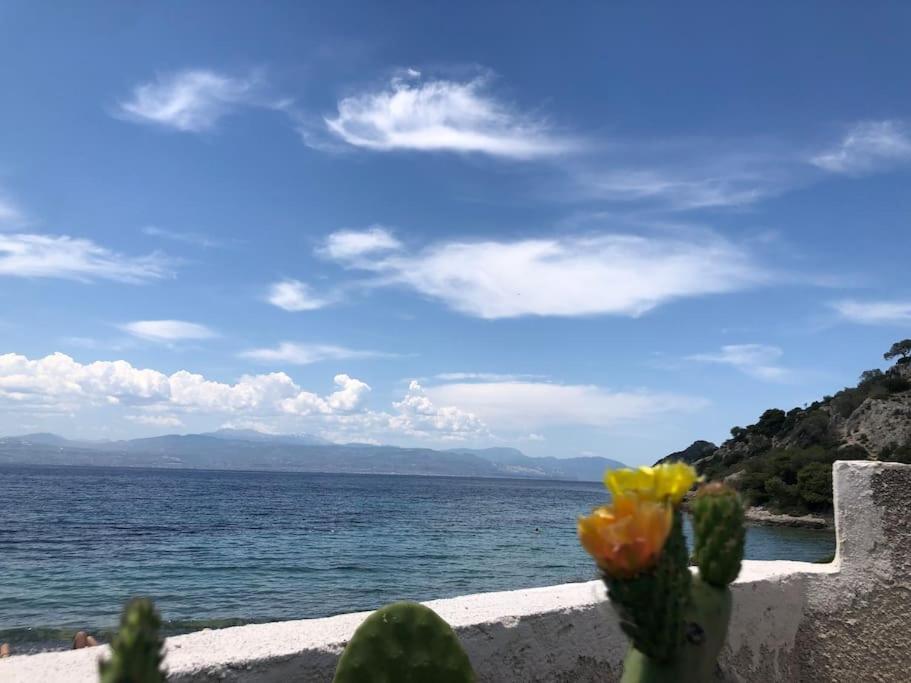 فيلا House By The Sea At Skaloma, Loutraki بحيرة فولياغميني المظهر الخارجي الصورة
