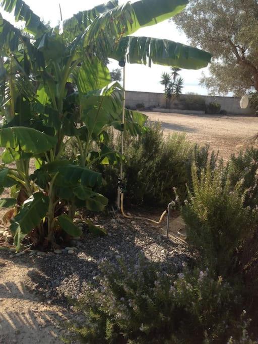 فيلا House By The Sea At Skaloma, Loutraki بحيرة فولياغميني المظهر الخارجي الصورة