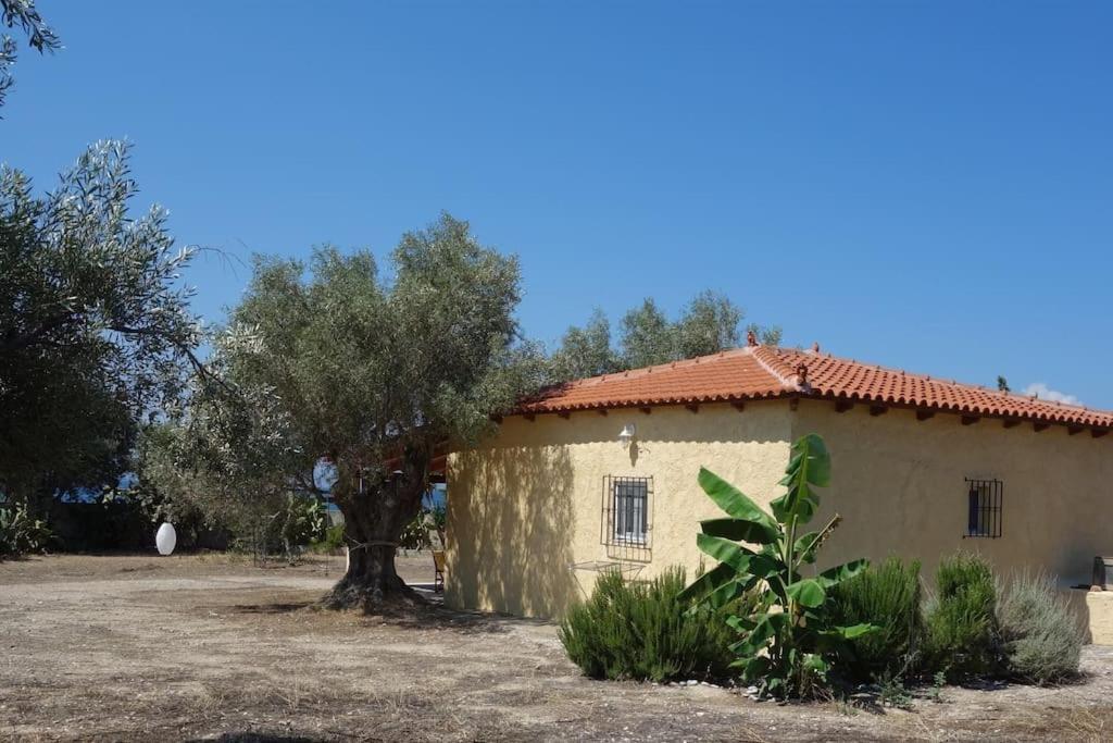 فيلا House By The Sea At Skaloma, Loutraki بحيرة فولياغميني المظهر الخارجي الصورة