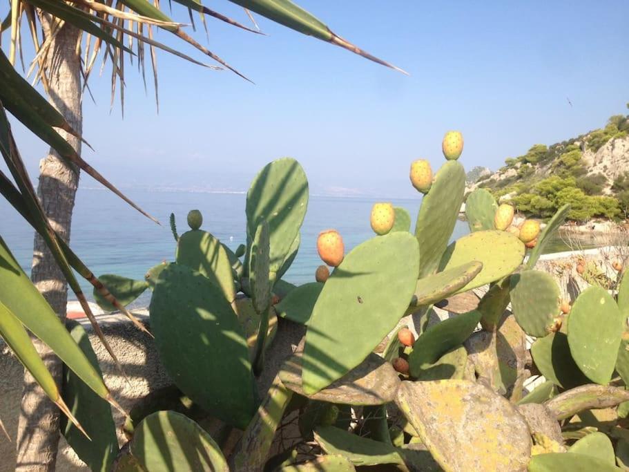 فيلا House By The Sea At Skaloma, Loutraki بحيرة فولياغميني المظهر الخارجي الصورة